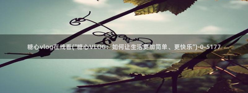 糖心vlog是什么