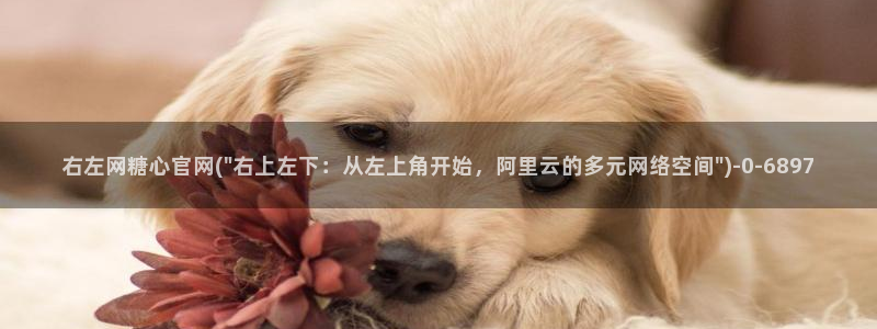 糖心vlog在线观看入口
