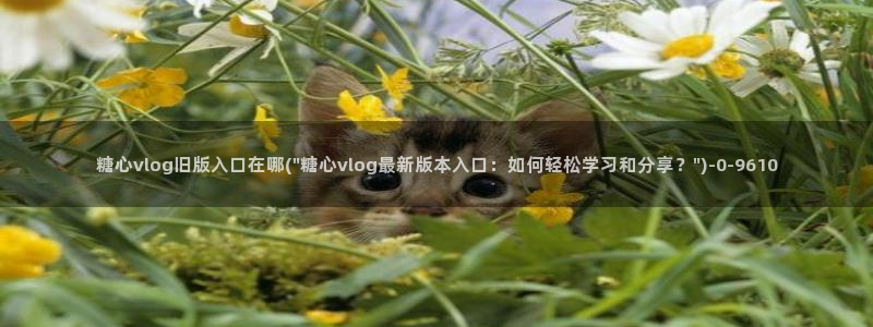 糖心vlog玩偶姐姐：糖心vlog旧版入口在哪(\