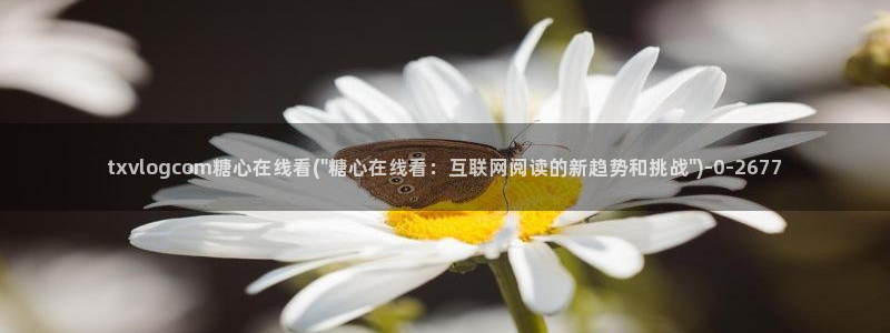 免费糖心vlog：txvlogcom糖心在线看(\