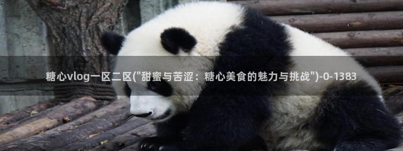 糖心vlog网页免费