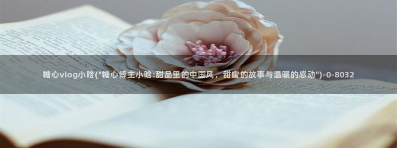 糖心vlog视频网站
