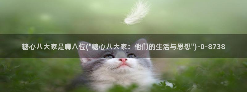 心糖vlog 网站