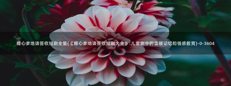 糖果心vlog免费