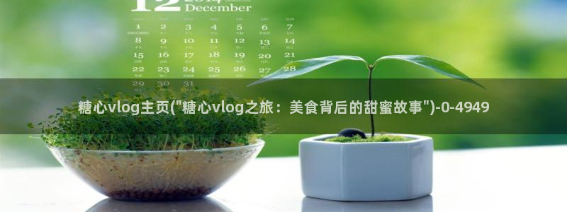 糖心vlog app