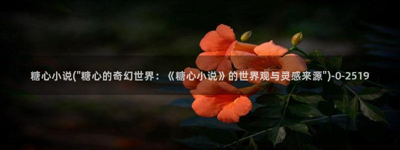 糖心系列vlog