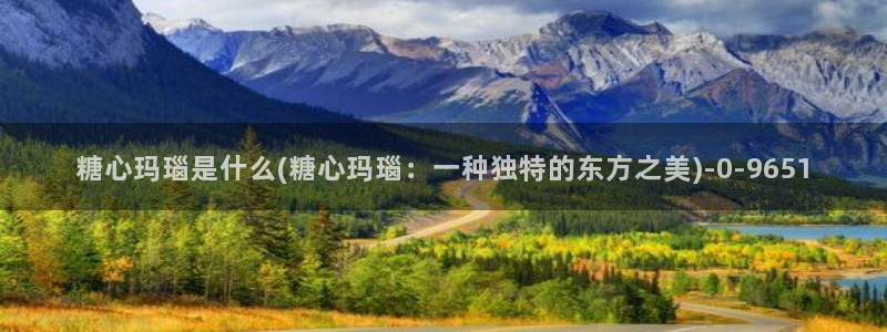 糖心vlog破译