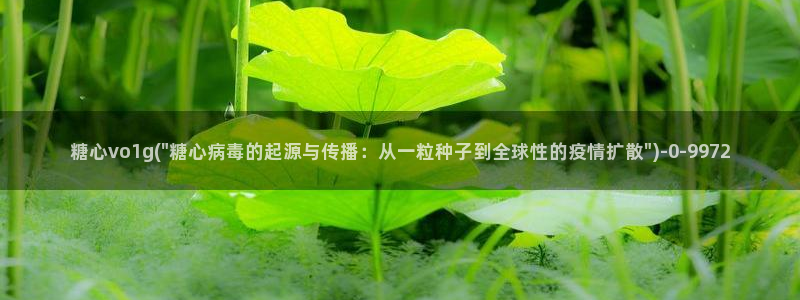糖心深夜释放自己vlog新版本