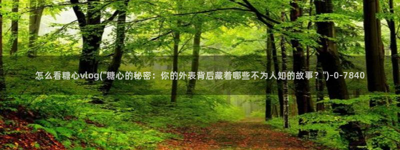 糖心vlog视频观看