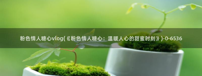 糖心vlog网页在线观看